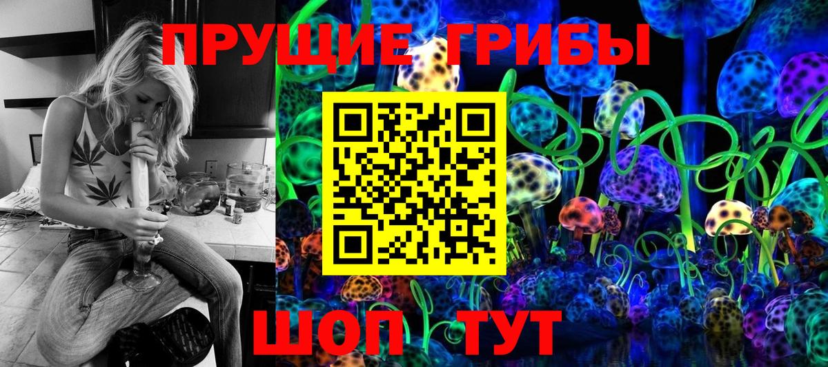 купить наркотик  Галлюциногенные грибы GOLDEN TEACHER  Касимов  Вход с VPN  Псилоцибиновые грибы Psilocybine cubensis 