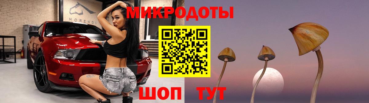Псилоцибиновые грибы прущие грибы Касимов
